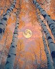 SYLVAN - Aromatic Woods