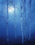 Saint O'Niell Alchemy Sylvan luxury scented candle made for "The Vespertine", depicted by a blue image of a leafless silver birch tree forest lit by a full moon in a fog-shrouded sky.