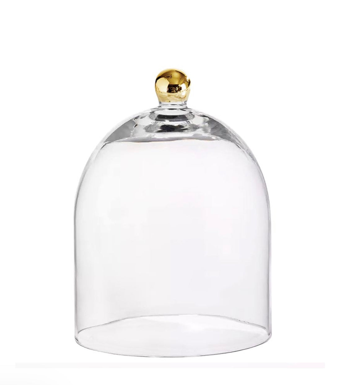 Glass Cloche with Gold Knob